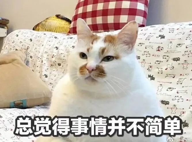 DƬ